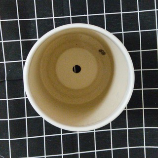 Chậu trụ trơn màu trắng size 11 cm kèm đĩa hứng nước