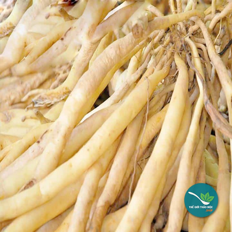 Củ Bách Bộ khô 1kg - TM104