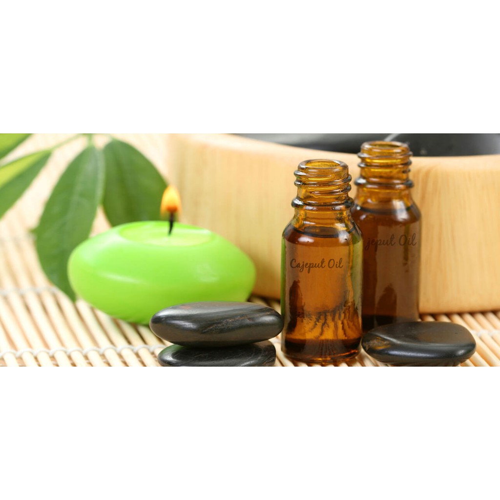 Tinh Dầu Tràm Gió Thiên Nhiên giải cảm, làm đẹp da, đuổi muỗi, chống côn trùng Cajeput Essential Oil AloAroma