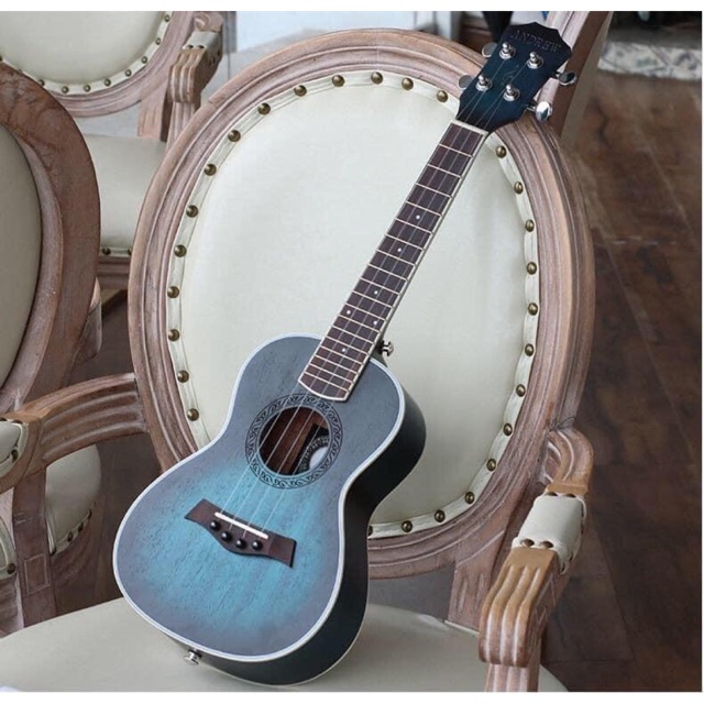 Ukulele Andrew concert