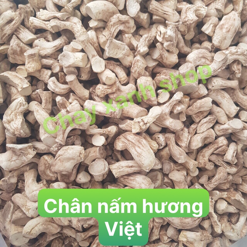 Chân nấm hương Việt