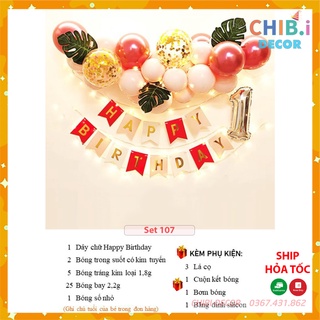 Set bóng trang trí sinh nhật set 107