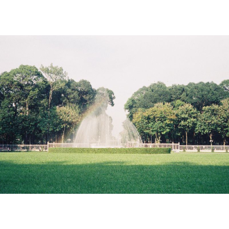 Film Cine Điện Ảnh Fujifilm F-64D