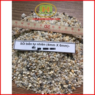 Sỏi tự nhiên trang trí bể cá, trang trí chậu cây kiểng trang trí sân vườn cảnh quan sạch sẽ 1kg