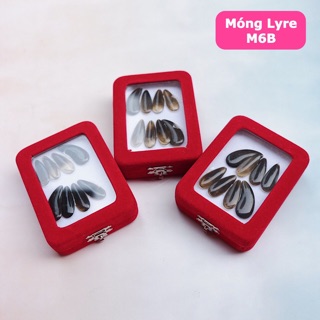 Đàn Lyre Ares S16M Cao Cấp