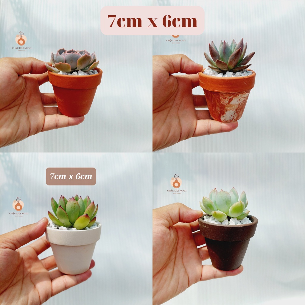 Chậu đất nung, Chậu sen đá - Chậu ly có gờ 76, miệng chậu 7cm, chiều cao 6cm [BESTSELLERS]