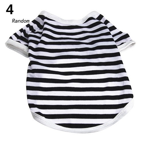 Áo thun mùa hè cho thú cưng