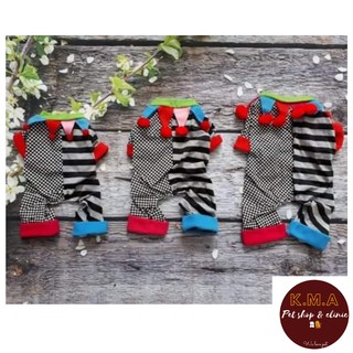QUẦN ÁO CHÓ MÈO - ÁO CHÚ HỀ PHÙ THỦY CUTE CHO PET