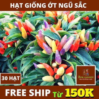 Hạt giống ớt ngũ sắc 30 hạt