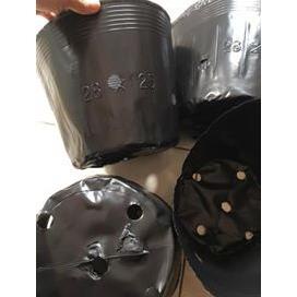 1kg bầu ươm cây giống(Hàng loại 1)