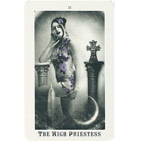 Bộ Bài Silver Era Tarot (Mystic House Tarot Shop) - Bài Gốc Authentic Chính Hãng 100%