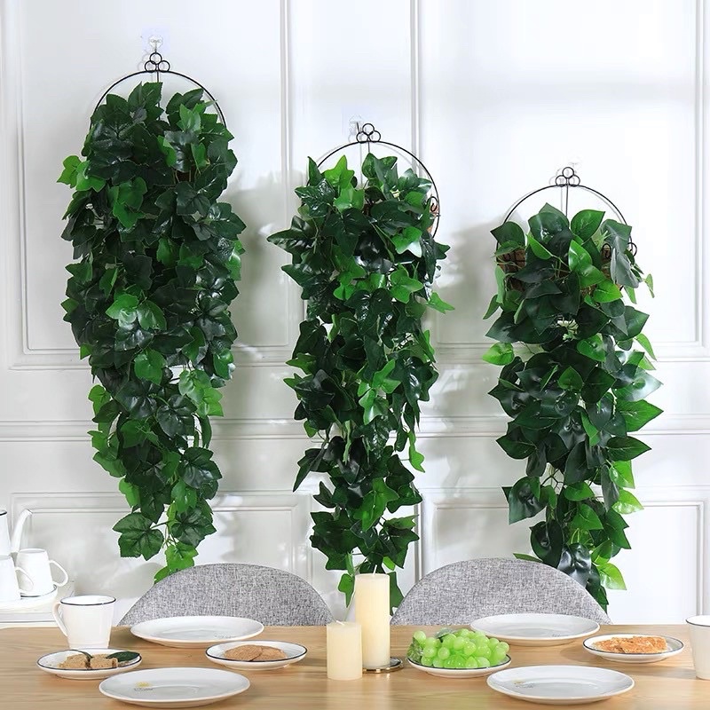 Cụm rủ treo tường-cụm rủ to