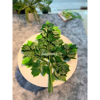 Cành Lá Si Giả - Hàng xịn