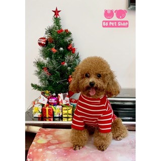 Áo cổ lọ noel cho chó/mèo