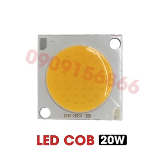 Mắt led cob 20W size nhỡ