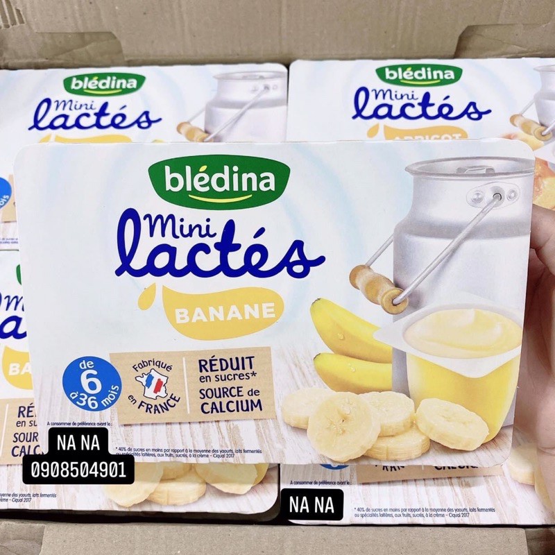 SỮA CHUA BLEDINA MINI LACTES NHIỀU VỊ