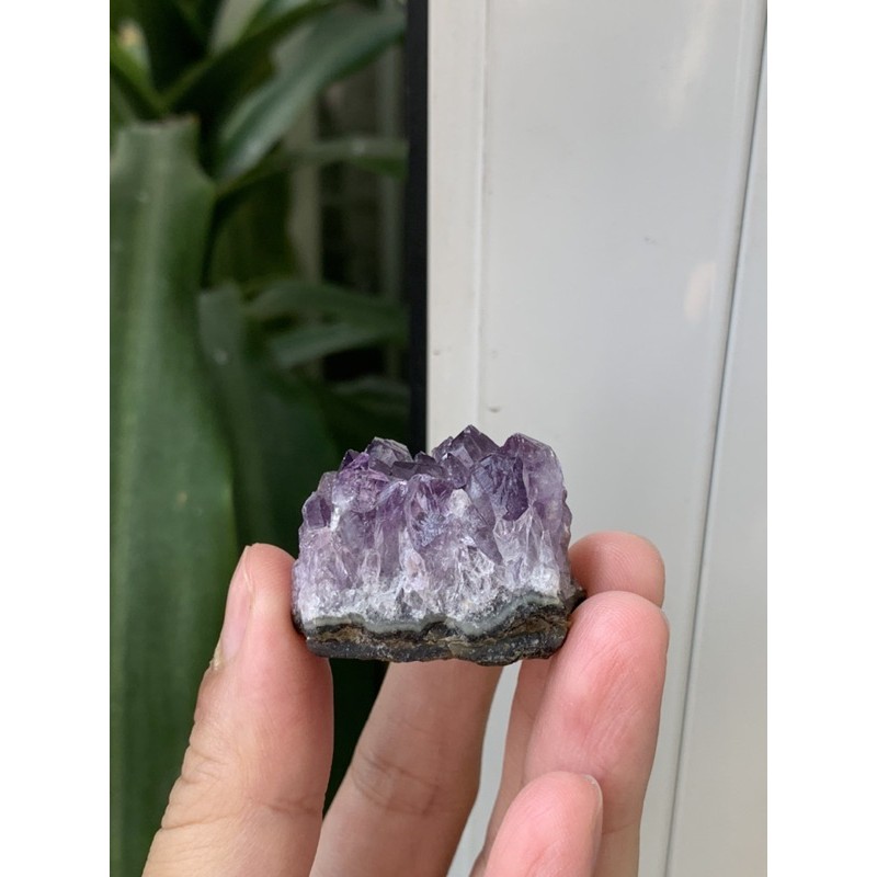 Vỉ đá tím mini thiên nhiên - Natural Amethyst Cluster - Đá th anh thanh tẩy