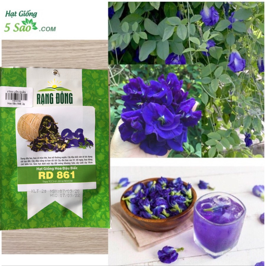 HOA ĐẬU BIẾC RADO 861 (2g)