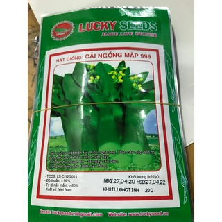 Hạt giống cải ngồng mập 999