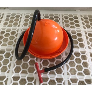 Máng Uống Gà Con - Chim Cút - Vịt - Ngan