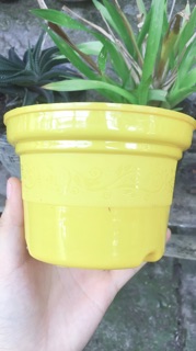 Chậu nhựa tròn