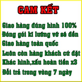 Heo đất đẹp