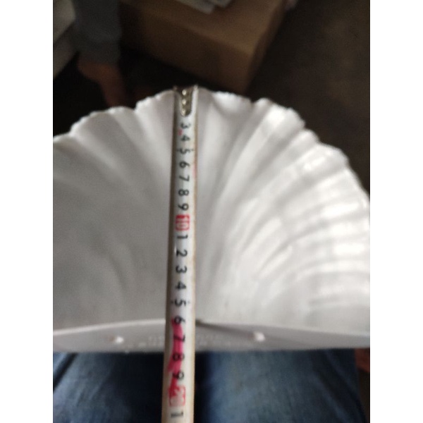 chậu ốp tường áp tường treo tường trồng cây hình sò 3 tấc (kt 30x16x11cm)