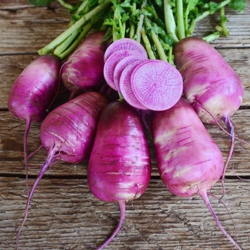 Hạt giống Củ Cải Tím Daikon F1 Nhập khẩu - 5 gram