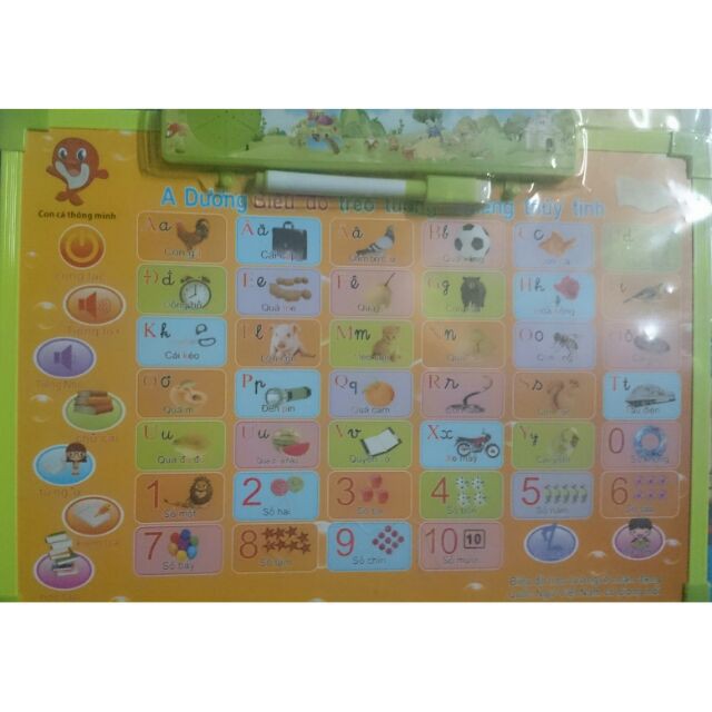 Bảng nói 5 chủ đề