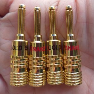 Jack bắp chuối gold snake