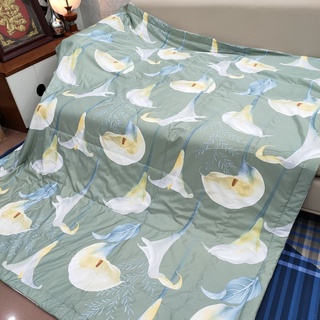 Chăn lụa Tencel Muji (2*2.2m)