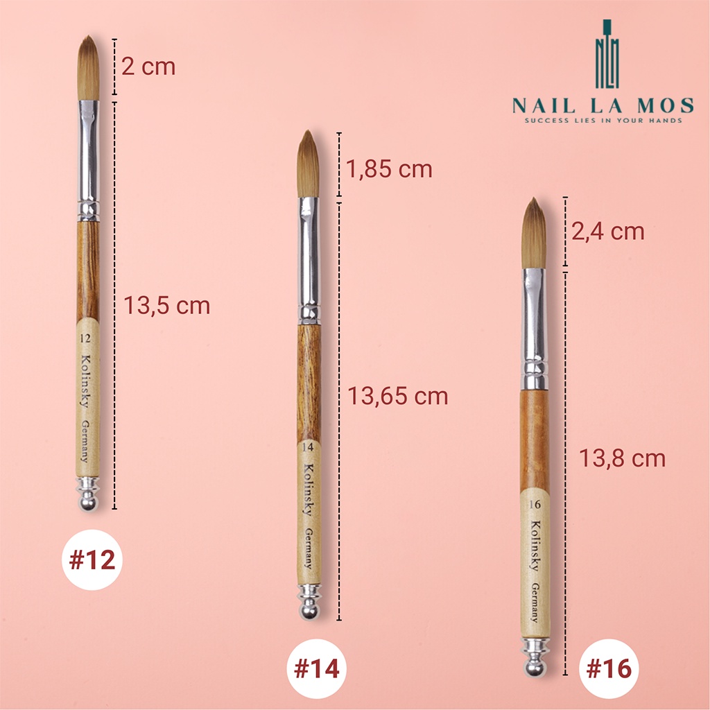 Cọ đắp bột Kolinsky Germany chính hãng - Cọ lông chồn cán gỗ size 12, 14, 16 đắp móng chuyên dụng