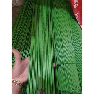 10 que cắm lan dài 60cm. cây giữ lan