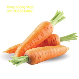 Hạt giống cà rốt