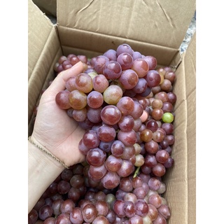 Nho Đỏ Ninh Thuận Trái to giòn ngọt