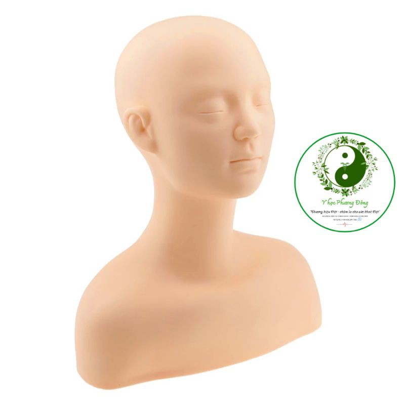 MÔ HÌNH ĐẦU LUYỆN TẬP CHÂM CỨU MASSAGE VÀ TRANG ĐIỂM
