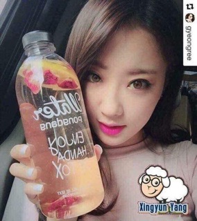 🌲Bình nước WATER DETOX