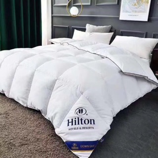 Ruột chăn hitton cao cấp cho khách sạn, nhà nghỉ