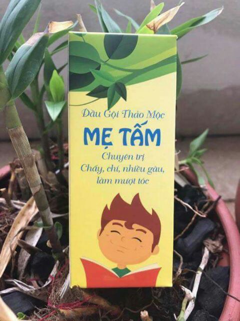 DẦU GỘI MẸ TẤM