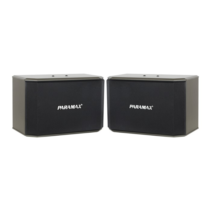 Loa karaoke Paramax K-2000 New