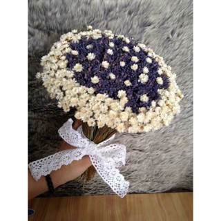 Hoa oải hương khô mix cúc bất tử