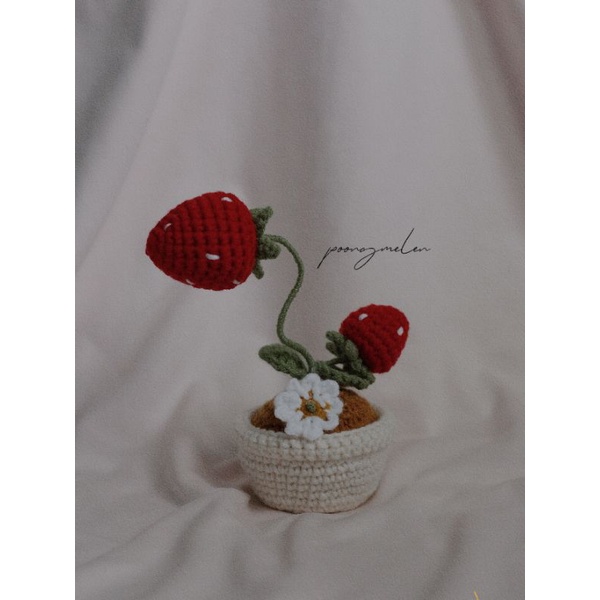 Chậu cây dâu handmade - Crochet strawberry.