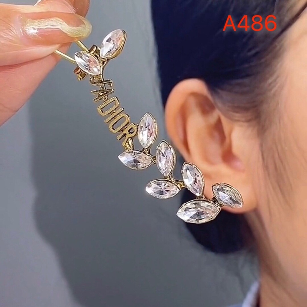 Khuyên Tai Tròn Bằng Thép Titan In Logo Dior Thời Trang Cho Nữ