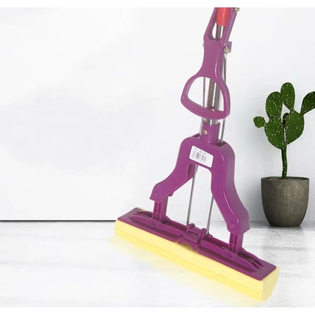 Bông lau cây lâu nhà  màu tím