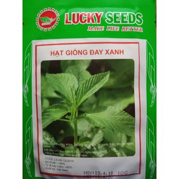 Bộ gói hạt giống rau Đay xanh