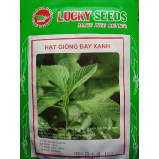 Hạt giống rau đay xanh cao sản - 20 gram
