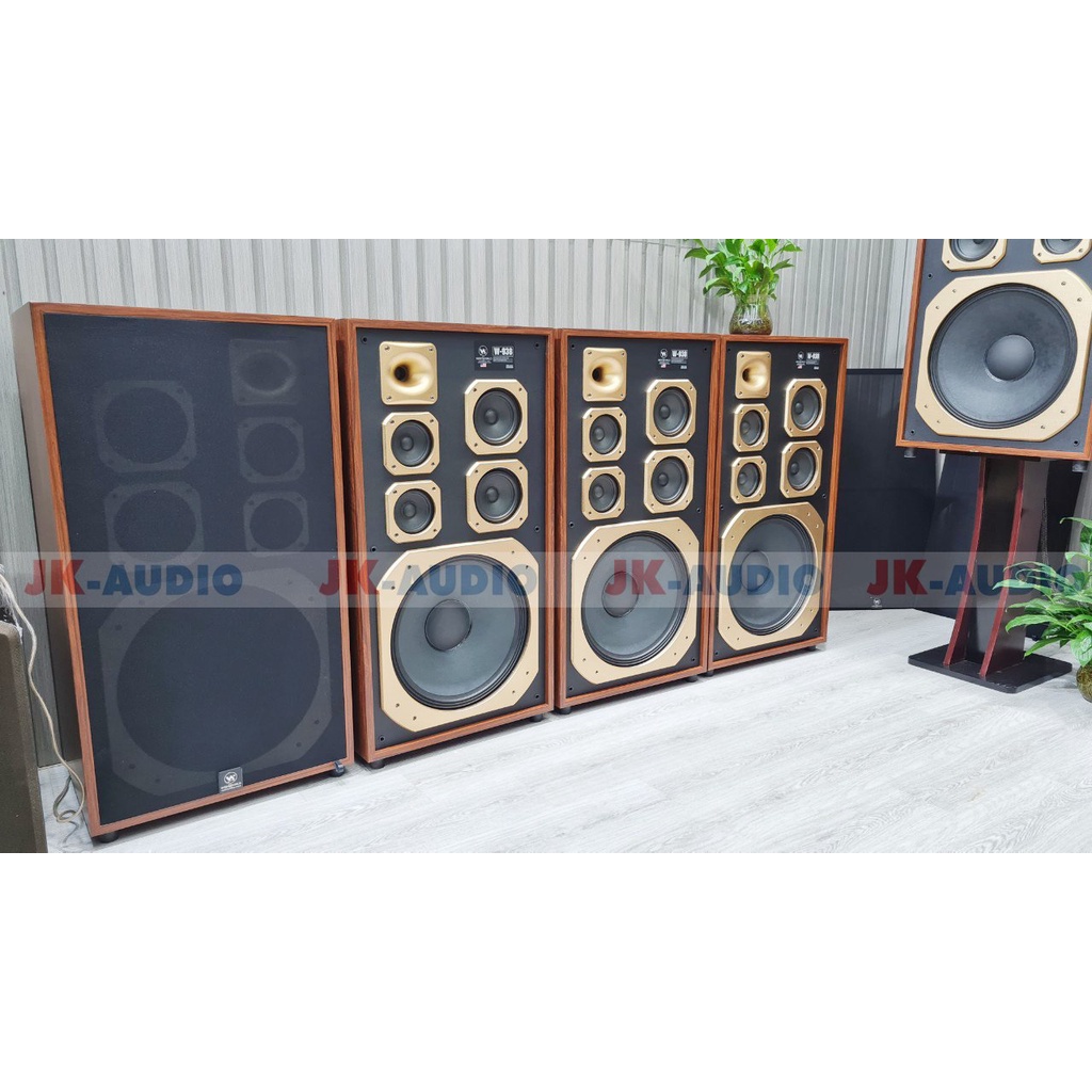 Dàn karaoke gia đình loa Weeworld W938 26,5tr