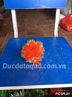 Cây hoa cỏ nhựa cao cấp