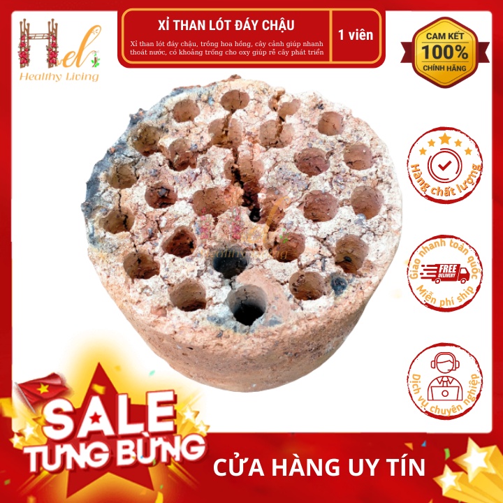 Xỉ Than Tổ Ong Dùng Lót Đáy Chậu Đất Trồng Cây, Trồng Hoa Hồng, Dùng Lọc Nước, Nuôi Vi Sinh Cây Cá Cảnh