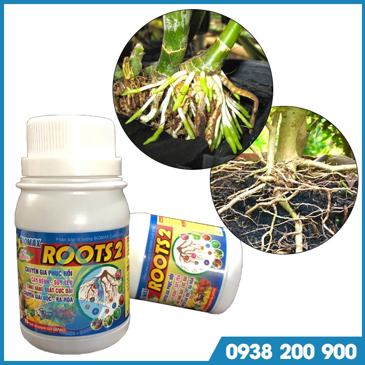 Kích Ra Rễ Roots 2 (100ml) - Phân bón lá Roots2 - Ra Rễ cực mạnh Roots2